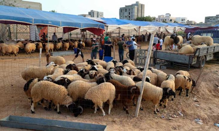 الغنم شارع فلسطين حلقة قطرة قضاء