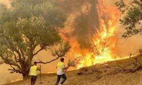 في تفسير دوافع السلطات الجزائرية من وراء خلق حالة حرب في ضمير الشعب