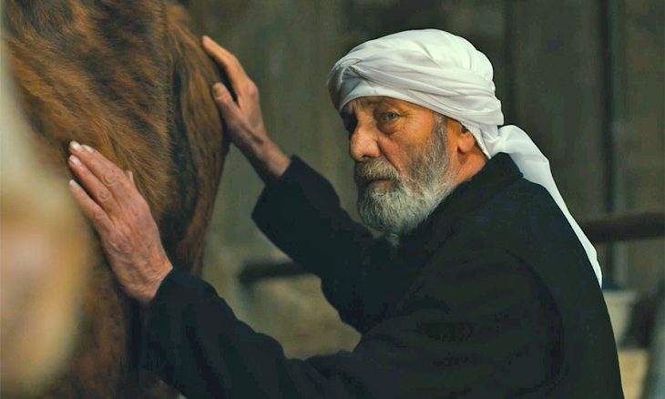 سینما عربیة بصفتها فلسطینیة... «فرحة» و«الغریب» و«أمیرة»