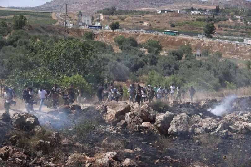 مستوطنون يضرمون النار بأراض فلسطينية وسط الضفة- (فيديو)