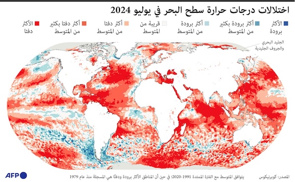اختلالات درجات حرارة سطح البحر في يوليو 2024