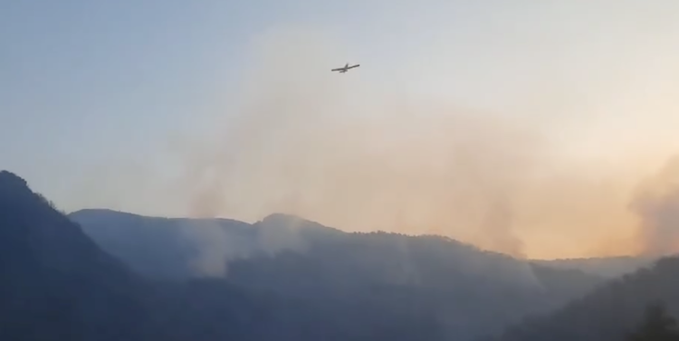 إجلاء سكان بعد اندلاع حرائق في منطقة القبائل في الجزائر- (فيديو)
