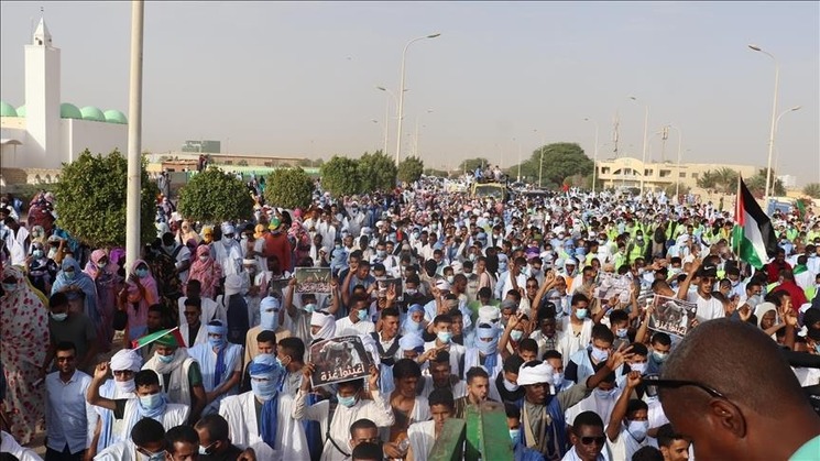 موريتانيا.. مئات الطلاب يشاركون في مهرجان تضامني مع غزة- (فيديوهات)