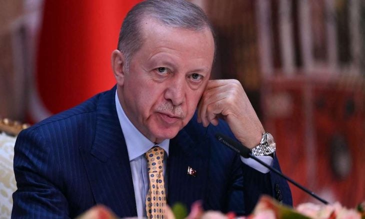 أردوغان: نتوقع من الحلفاء إنهاء دعمهم للأكراد في سوريا بعد الإطاحة بالأسد