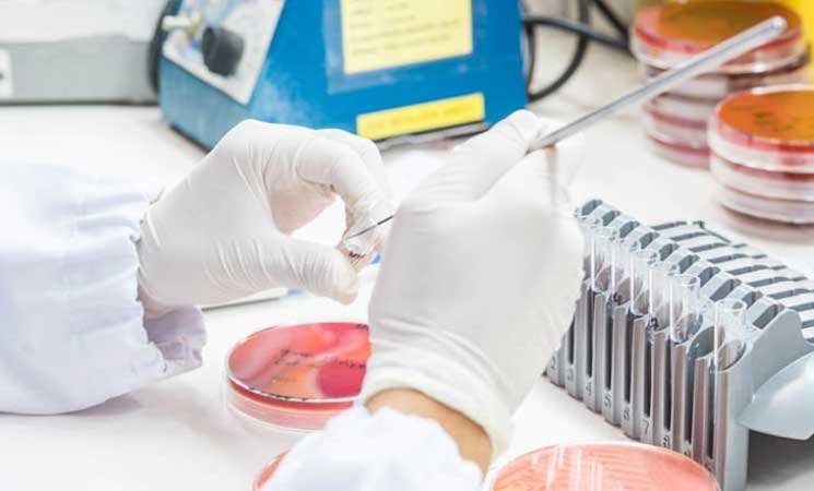 دراسة: وفاة أكثر من ثلاثة ملايين طفل في 2022 بسبب مقاومة الميكروبات للأدوية